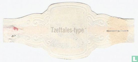 Tzeltales-type - Afbeelding 2
