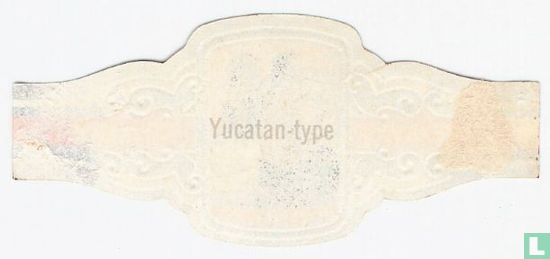 [Yucatan type] - Image 2