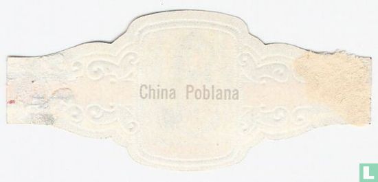 China Poblana - Afbeelding 2