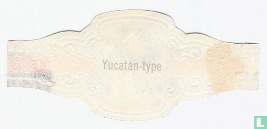 Yucatan-type  - Afbeelding 2