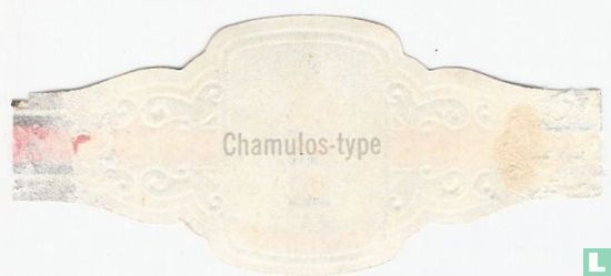 Chamulos-type - Afbeelding 2