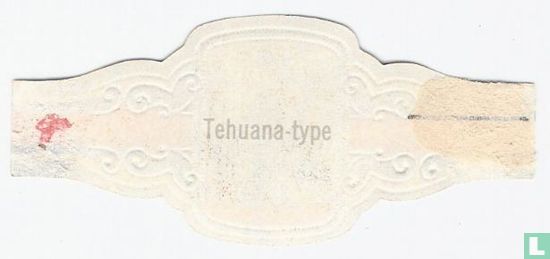 Tehuana-type - Afbeelding 2