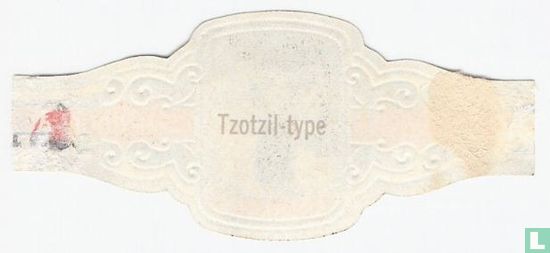 [Tzotzil Typus] - Bild 2