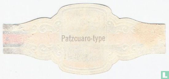 [Type Patzcuaro] - Image 2