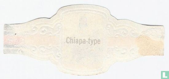 [Type Chiapa] - Image 2