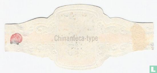 Chinanteca-type - Afbeelding 2