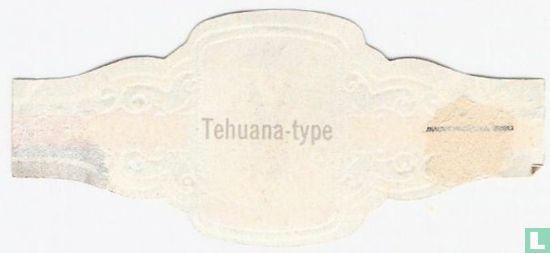 [Type Tehuana] - Image 2