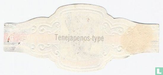 Tenejapenos-type - Afbeelding 2