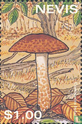 Mushrooms     
