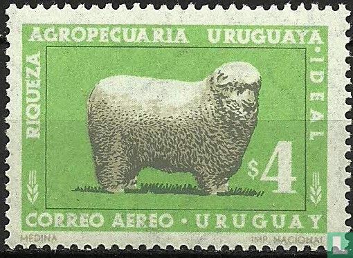 Mouton  - Image 1