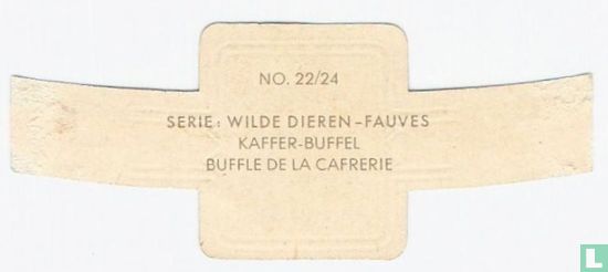 Kaffer-buffel - Afbeelding 2