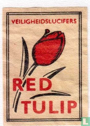 Red Tulip  