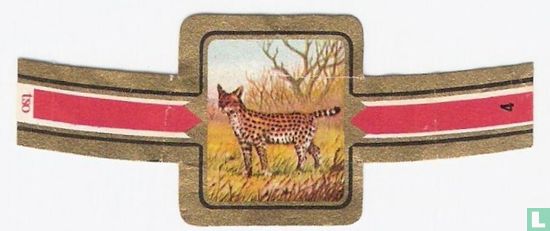 Serval - Afbeelding 1