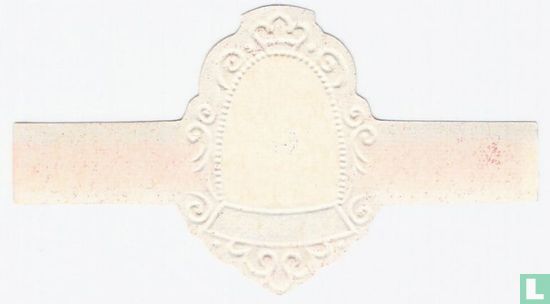 LI - Afbeelding 2