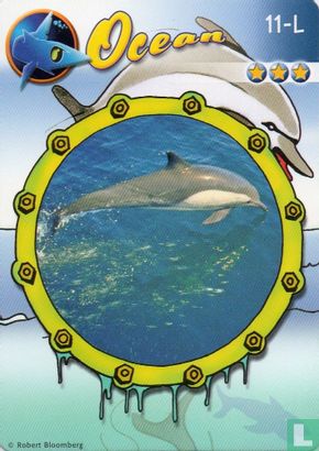 Dolfijn - Image 1