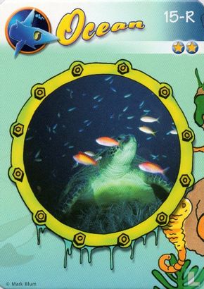 Zeeschildpad - Afbeelding 1