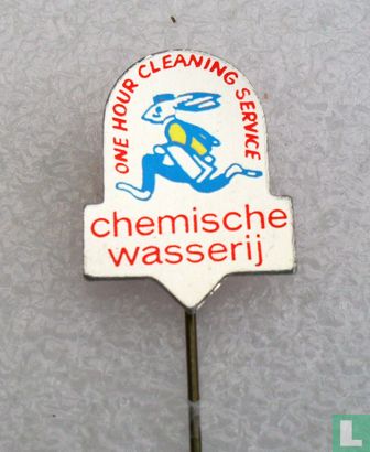 Chemische wasserij