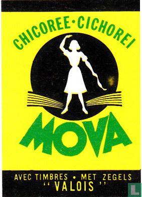 Chicoree - cichorei Mova - Image 1