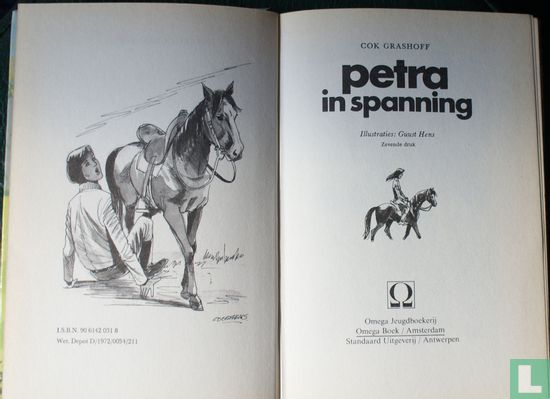 Petra in spanning - Image 3