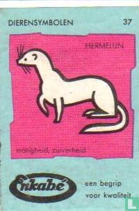 Hermelijn