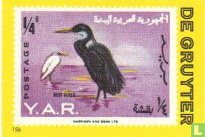 Yemen Arabische Republiek - vogel