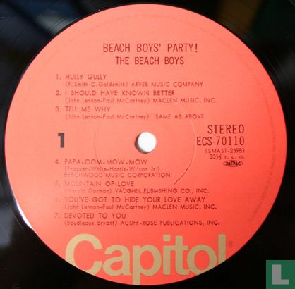 Beach Boys’ Party - Afbeelding 3