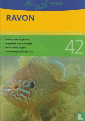 Ravon 42 - Image 1