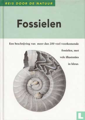 Fossielen - Afbeelding 1