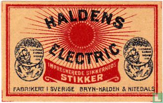 Haldens Electric
