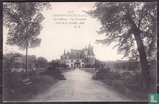 Chenonceaux, Le Château - Vue d'ensemble prise de la Grande Allée
