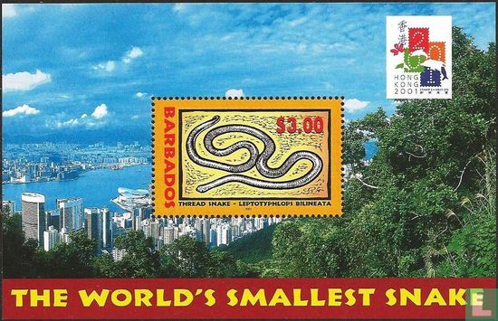 World's smallest snake