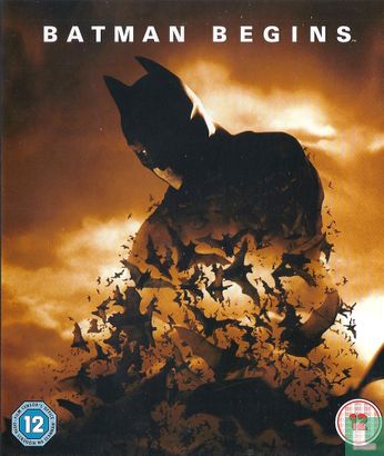 Batman Begins - Bild 1