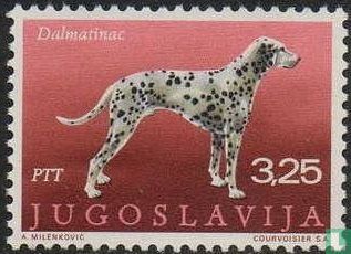 Joegoslavische honden