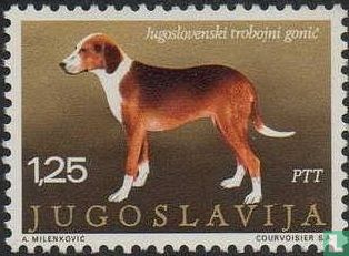 Joegoslavische honden