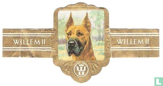 (Ulmer Dog) (Duitse Dog) (Deense Dog) - Image 1