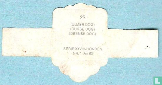 (Ulmer Dog) (Duitse Dog) (Deense Dog) - Image 2