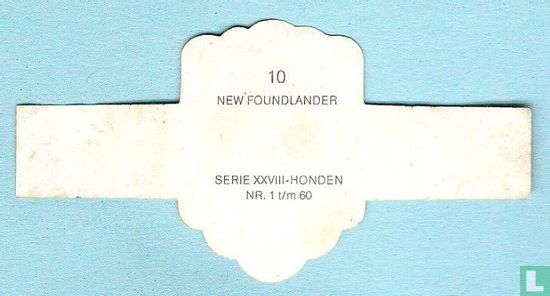 New Foundlander - Bild 2