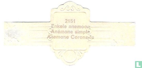 Enkele anemoon - Anémone simpla - Image 2