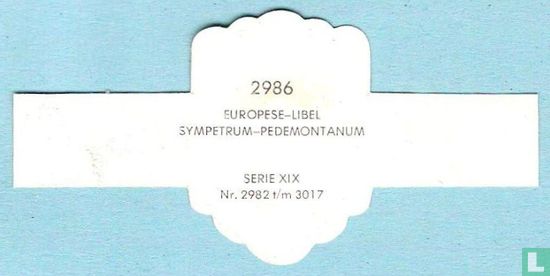 Europese-libel - Sympetrum-Pedemontanum - Image 2