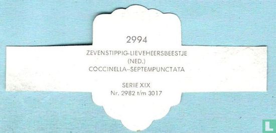 Zevenstippig-lieveheersbeestje (Ned.) - Coccinella-Septempunctata - Image 2