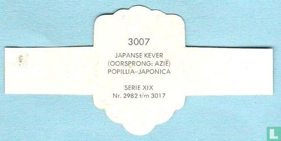 Japanse kever (oorsprong: Azië) - Popillia-Japonica - Image 2