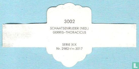 Schaatsenrijder (Ned.) - Gerris-Thoracicus - Image 2