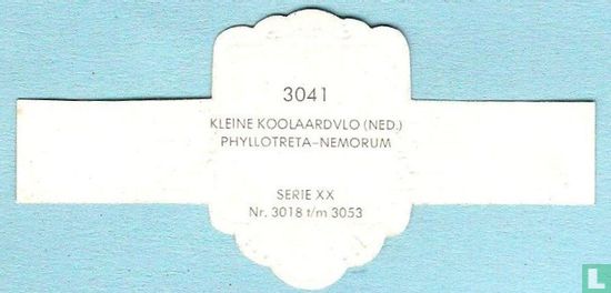 Kleine koolaardvlo (Ned.) - Phyllotreta-Nemorum - Image 2