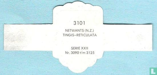 Netwants (N.Z.) - Tingis-Reticulata - Afbeelding 2