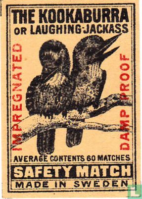 The Kookaburra or laughing jackass