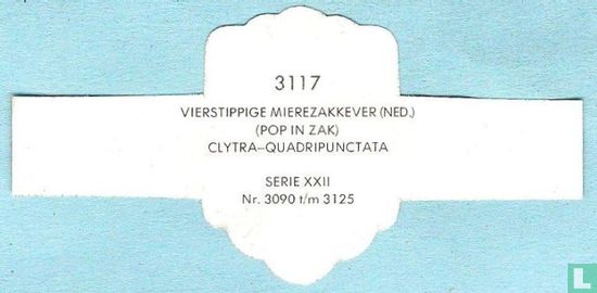 Vierstippige mierezakkever (Ned.) (Pop in zak) - Clytra-Quadripunctata - Afbeelding 2