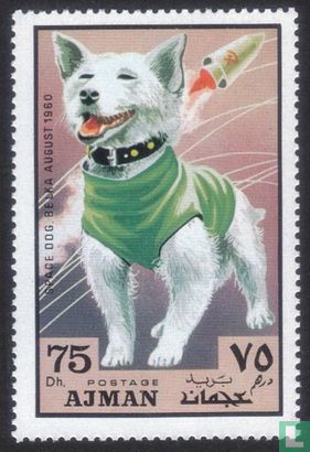 Chien espace Belka