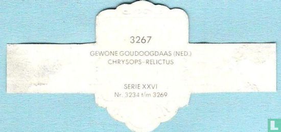 Gewone goudoogdaas (Ned.) - Chrysops-Relictus - Bild 2
