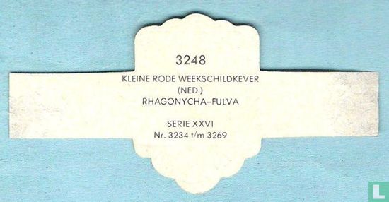 Kleine rode weekschildkever (Ned.) - Rhagonycha-Fulva - Afbeelding 2
