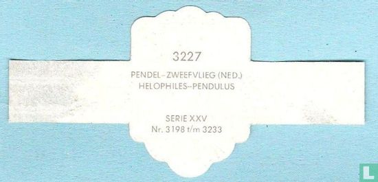 Pendel-zweefvlieg (Ned.) - Helophiles-Pendulus - Afbeelding 2